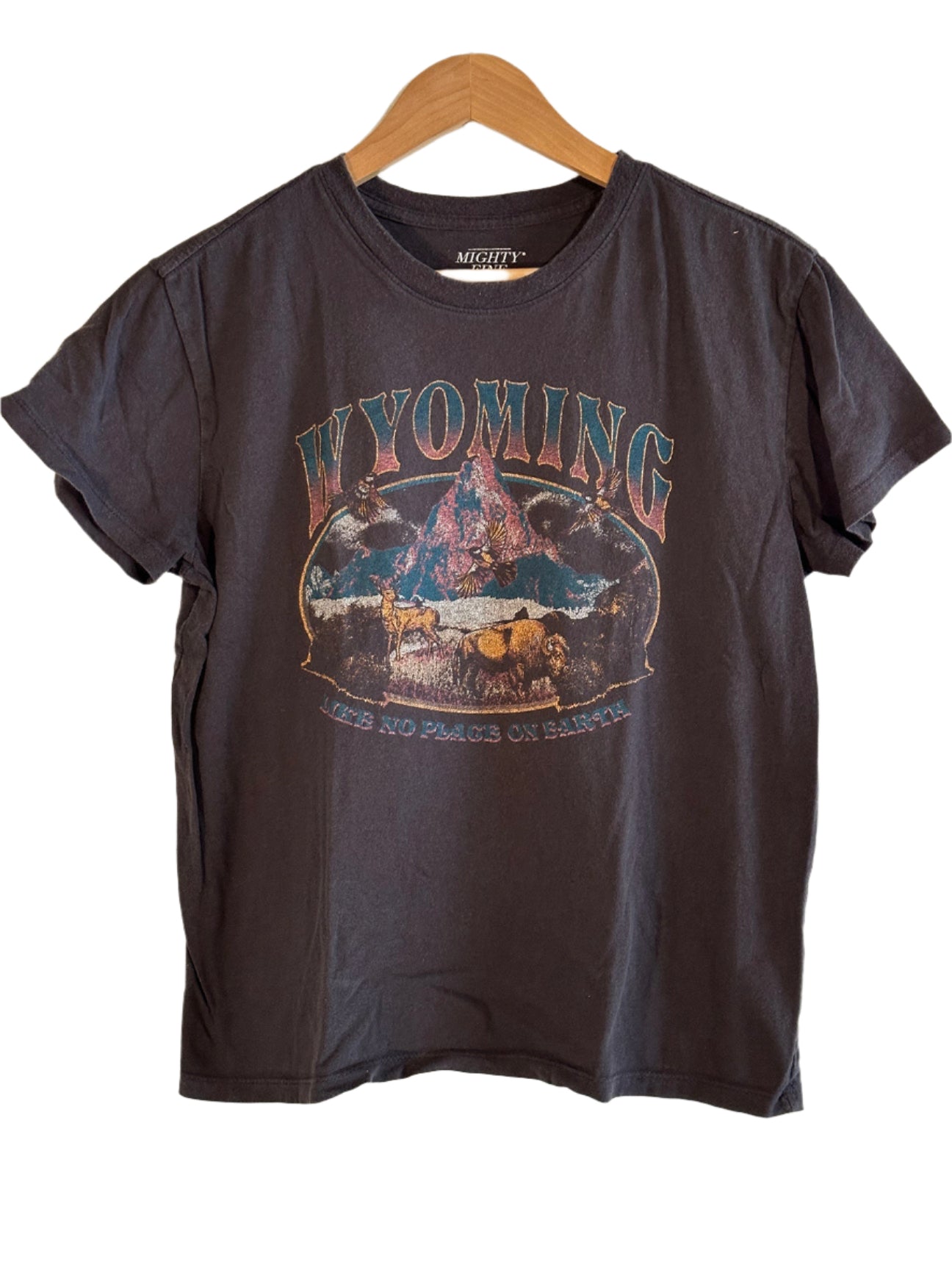 Vintage T-Shirt "Wyoming" Charcoal L