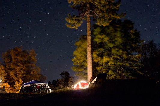 Campout Seaweed + Stranded On Land