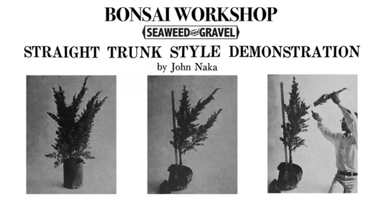 Bonsai Workshop
